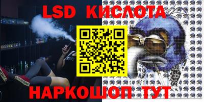 Альфа ПВП Новодвинск