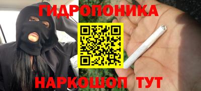 мяу мяу мука Нальчик