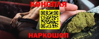 jwh Новозыбков