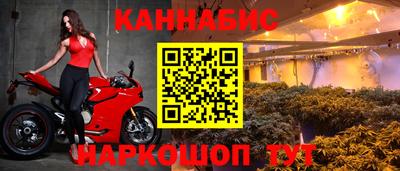 Альфа ПВП Новодвинск