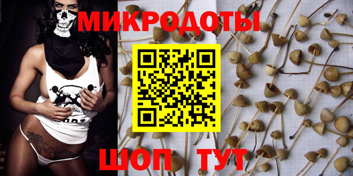Псилоцибиновые грибы Psilocybine cubensis Севастополь