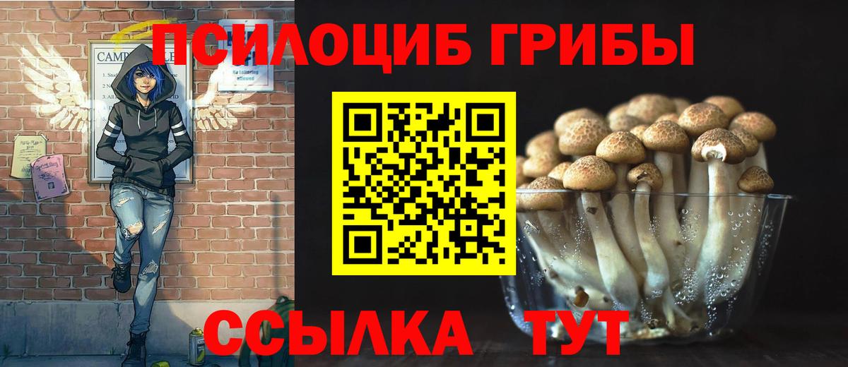 сколько стоит  Псилоцибиновые грибы GOLDEN TEACHER  Вход с VPN  Севастополь 